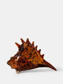Leopard Shell - Small