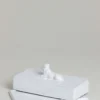 Lion Incense Box