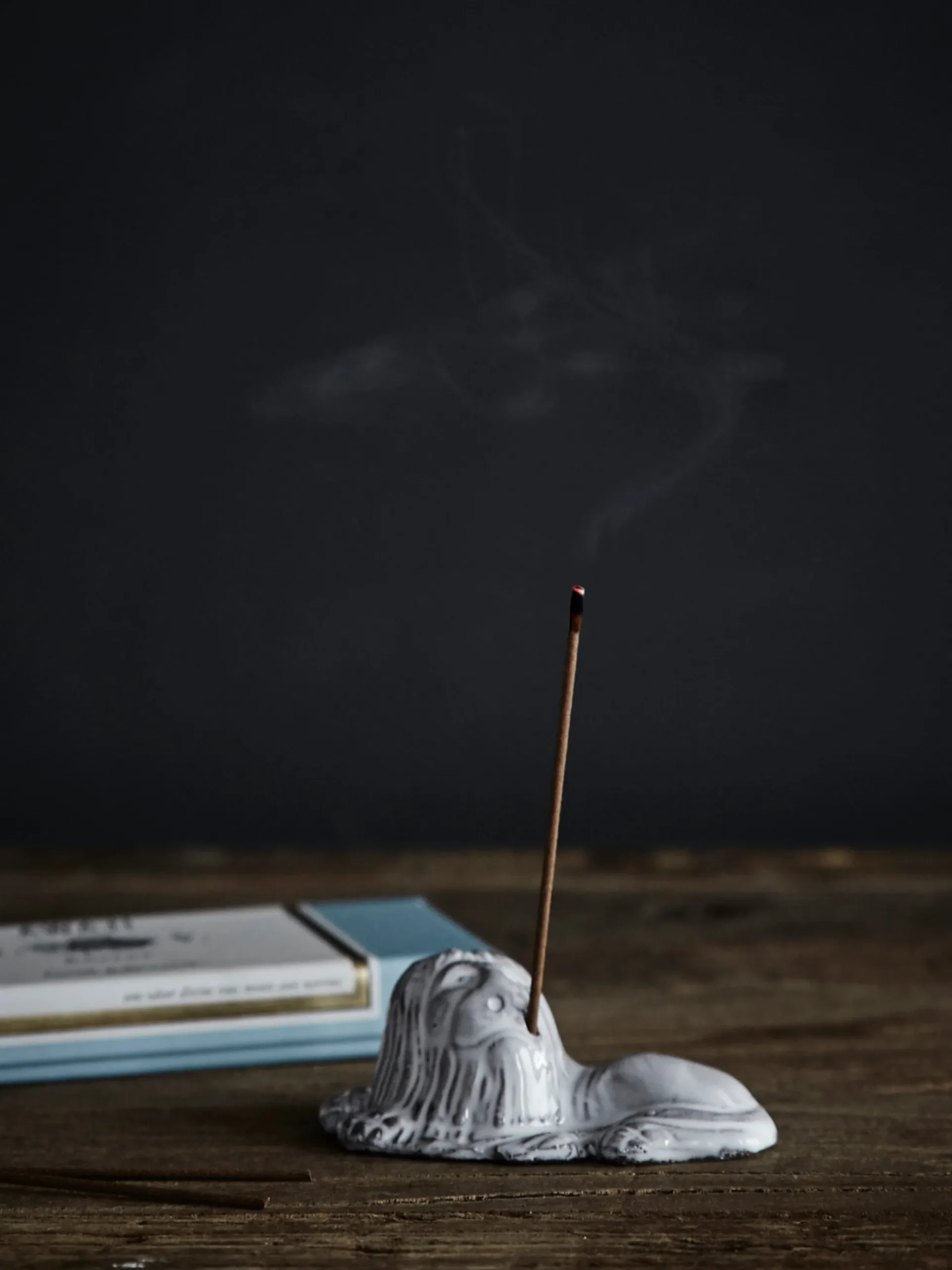 Lion Incense Holder