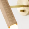 Lodge Extension Wall Lamp