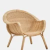 Madame Ditzel Chair