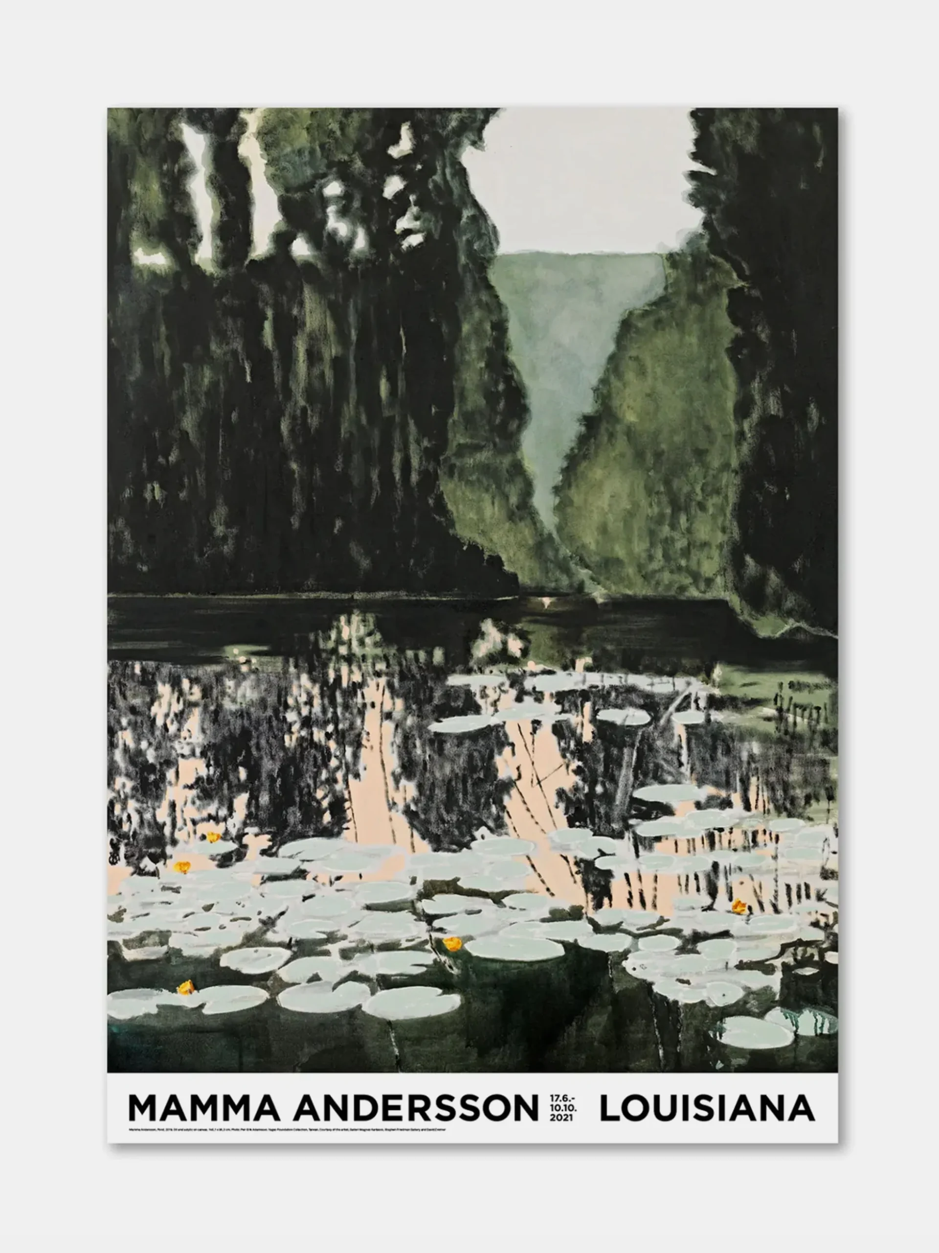 Mamma Andersson - Pond
