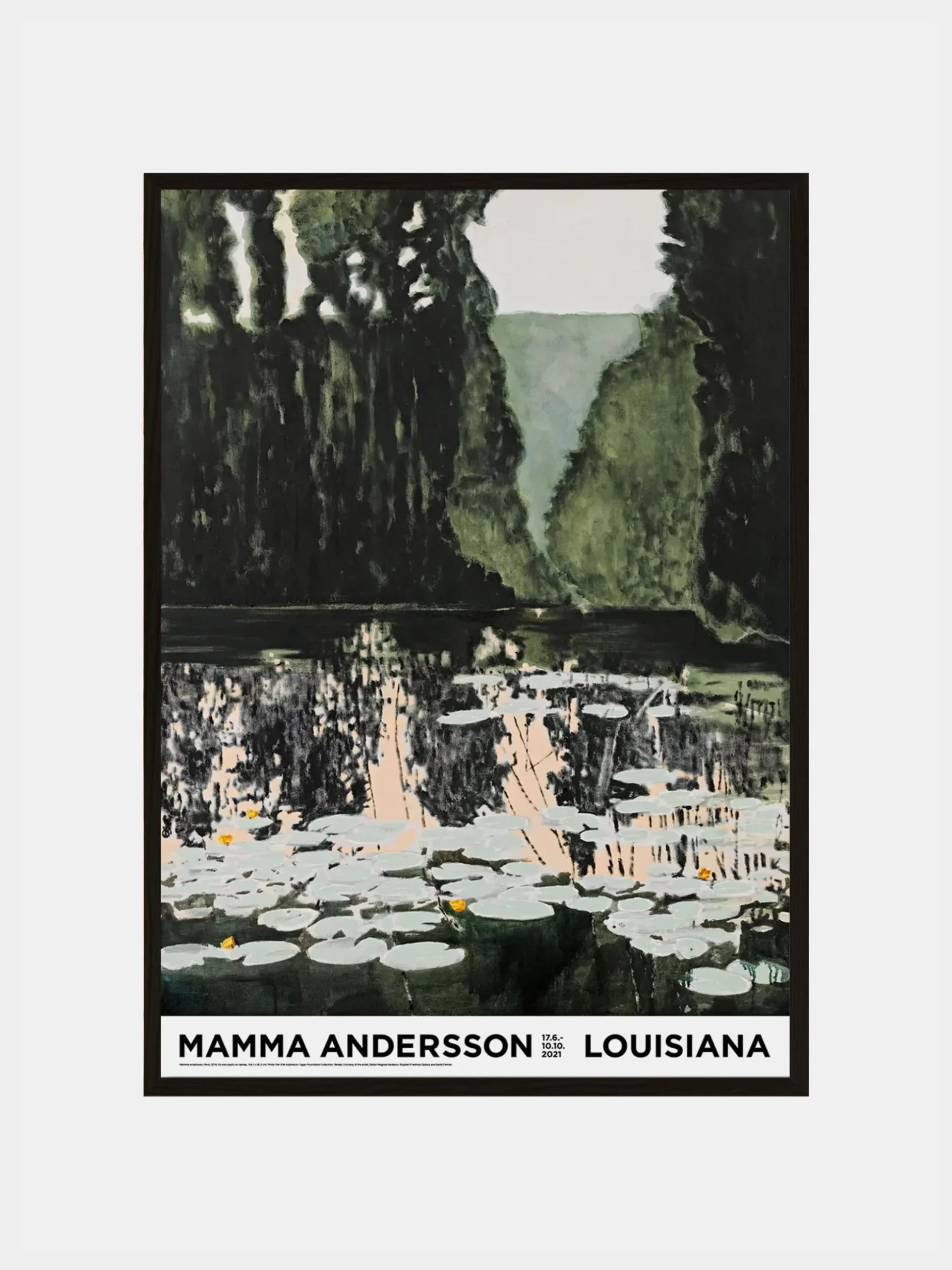 Mamma Andersson - Pond