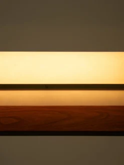 Modernist Linear Suspension Lamp