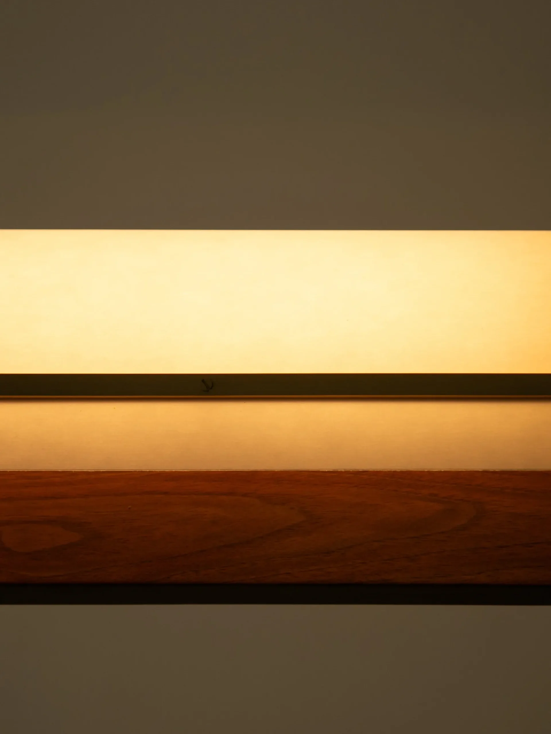 Modernist Linear Suspension Lamp