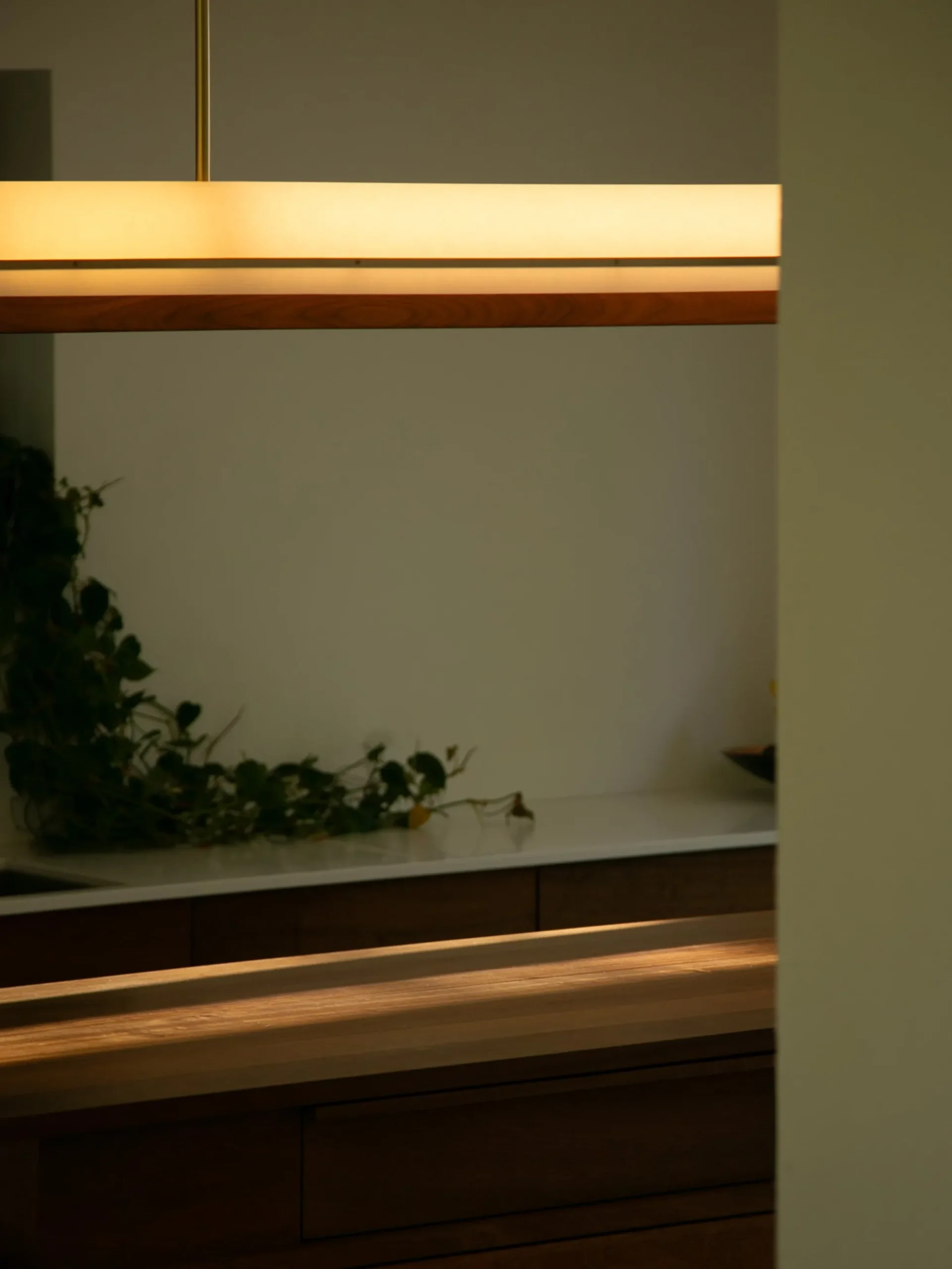 Modernist Linear Suspension Lamp