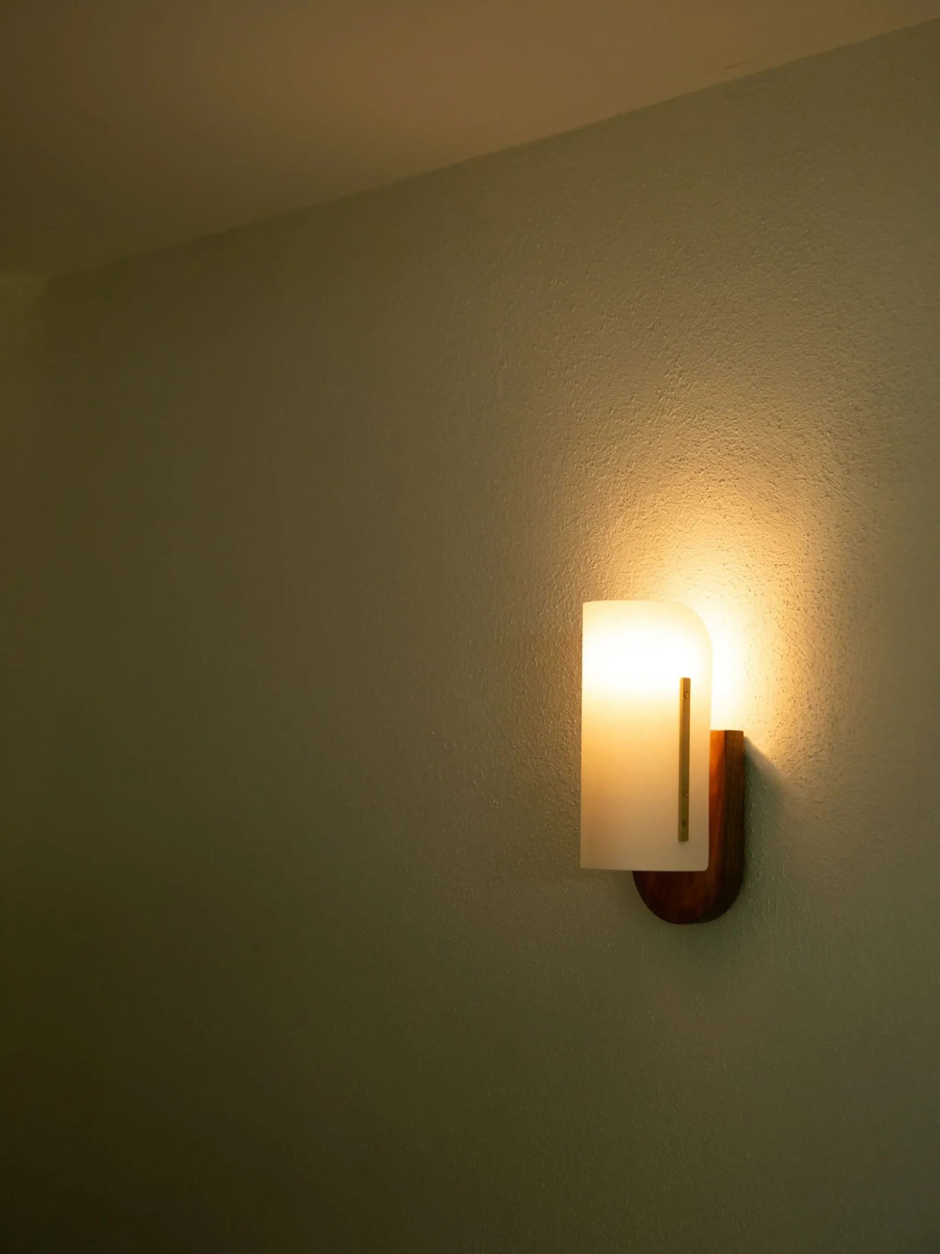 Modernist Timber Wall Lamp