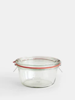 Mold Jar 290 ml
