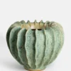 Moss Vase Green - Large