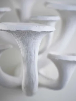 Mushroom Wall Light Small