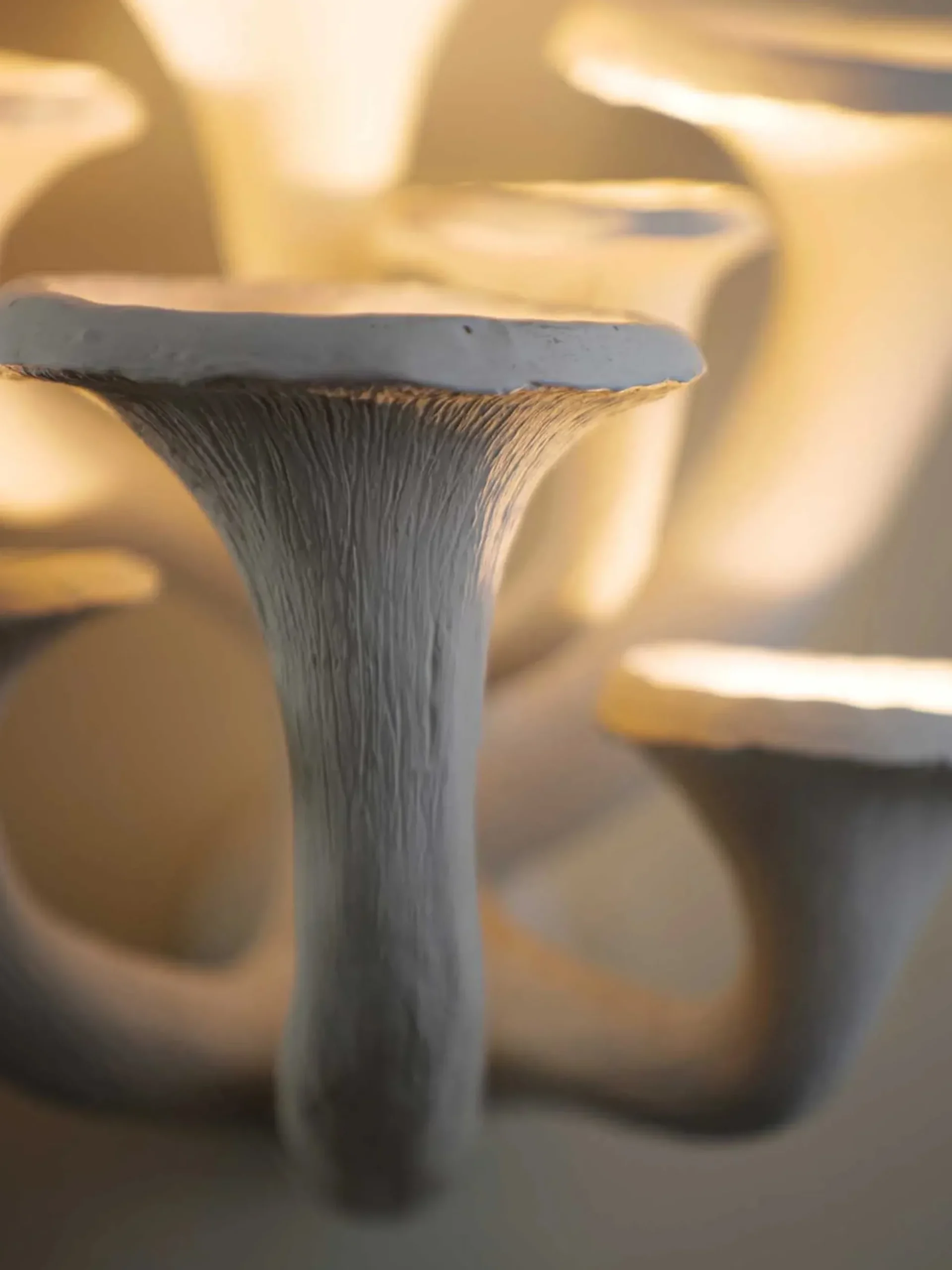 Mushroom Wall Light Small