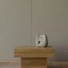N-CT02 Coffee Table