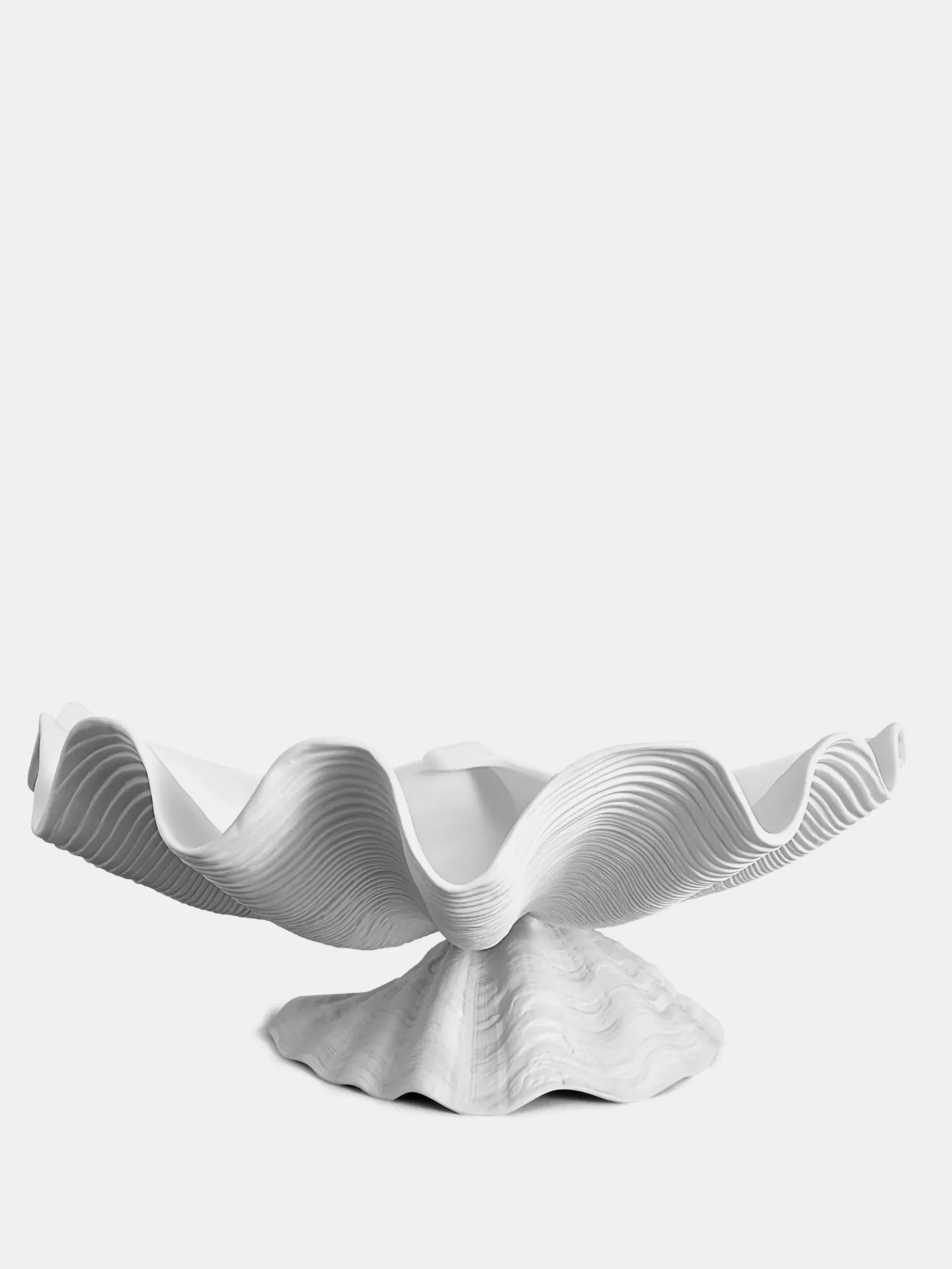 Neptune Shell Bowl