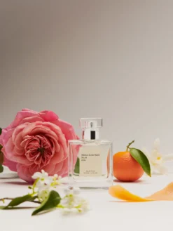 No.14 Icila - EdP 50 ml