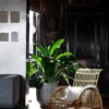 Paris Chair
