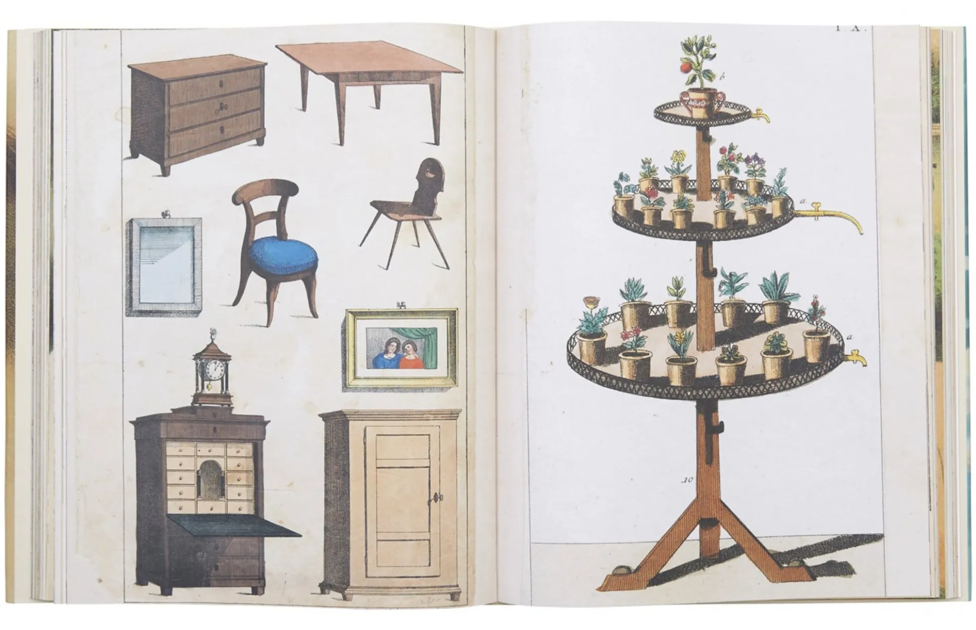 Picture Book