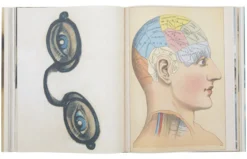 Picture Book