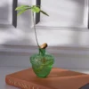Robur Vase - Green