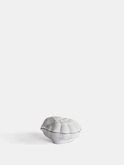 Shell Box