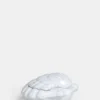 Shell Box