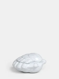 Shell Box