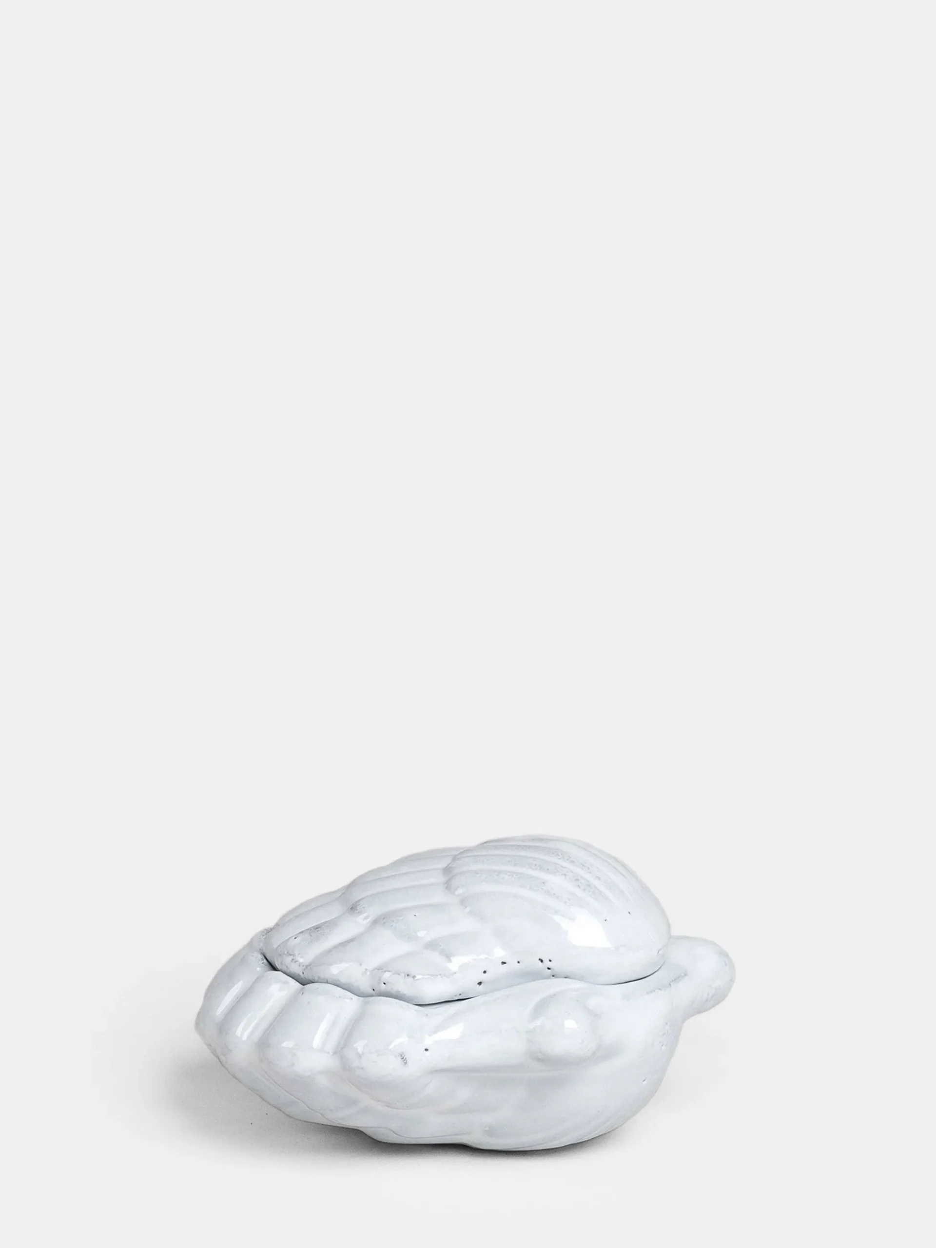 Shell Box