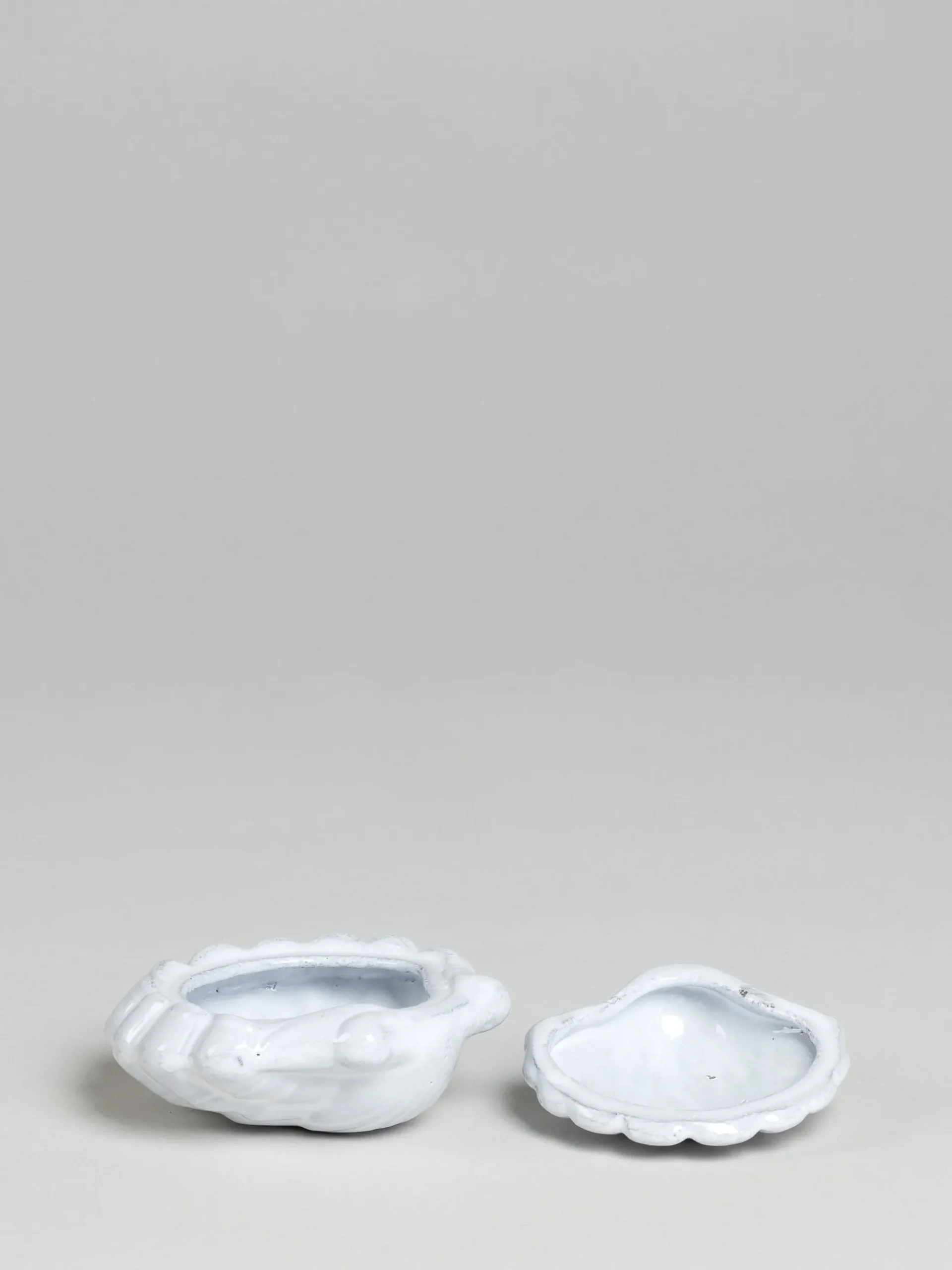 Shell Box