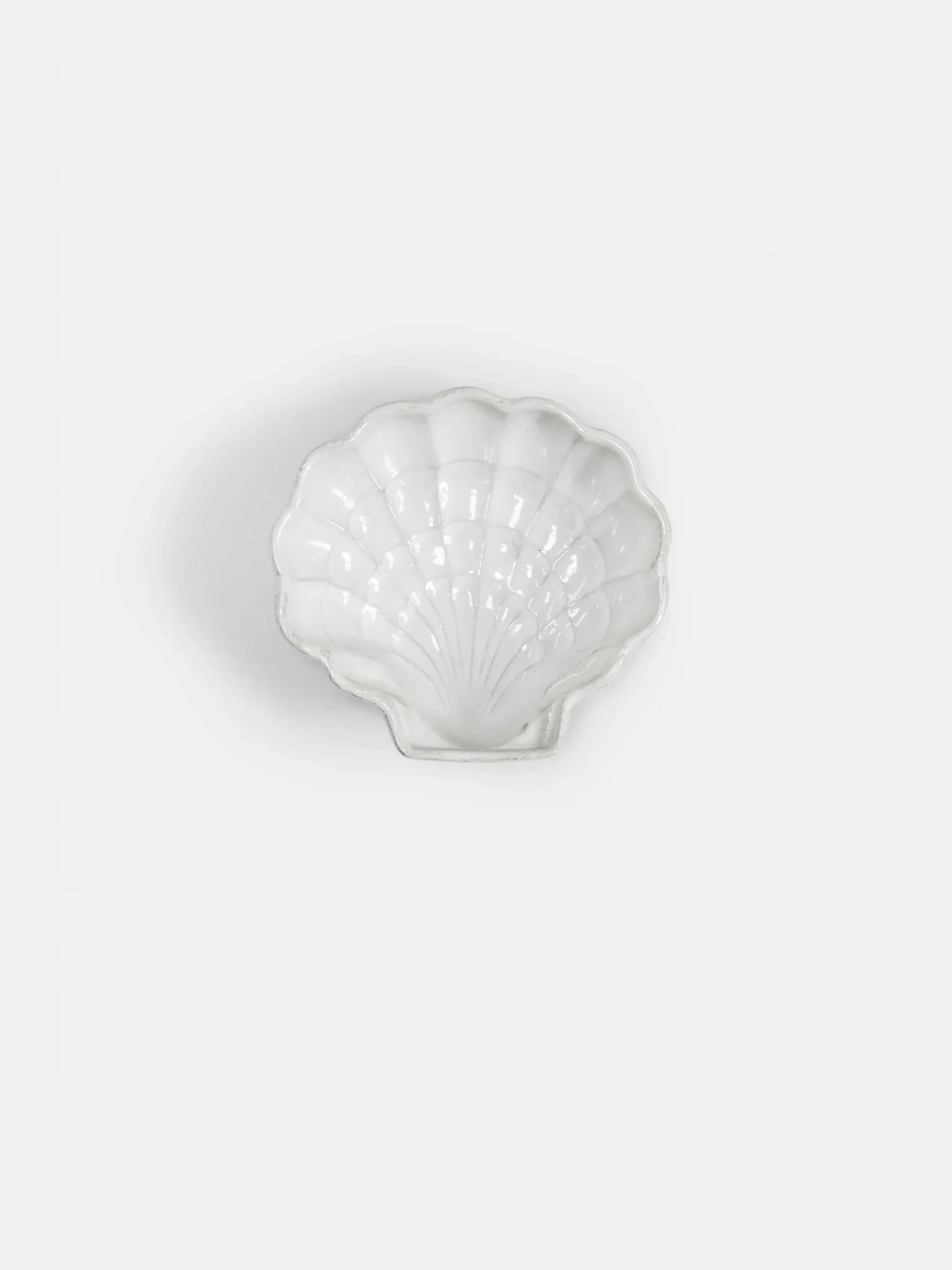 Shell Dish
