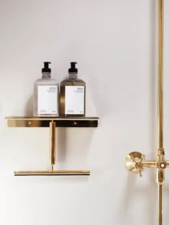 Shower Shelf