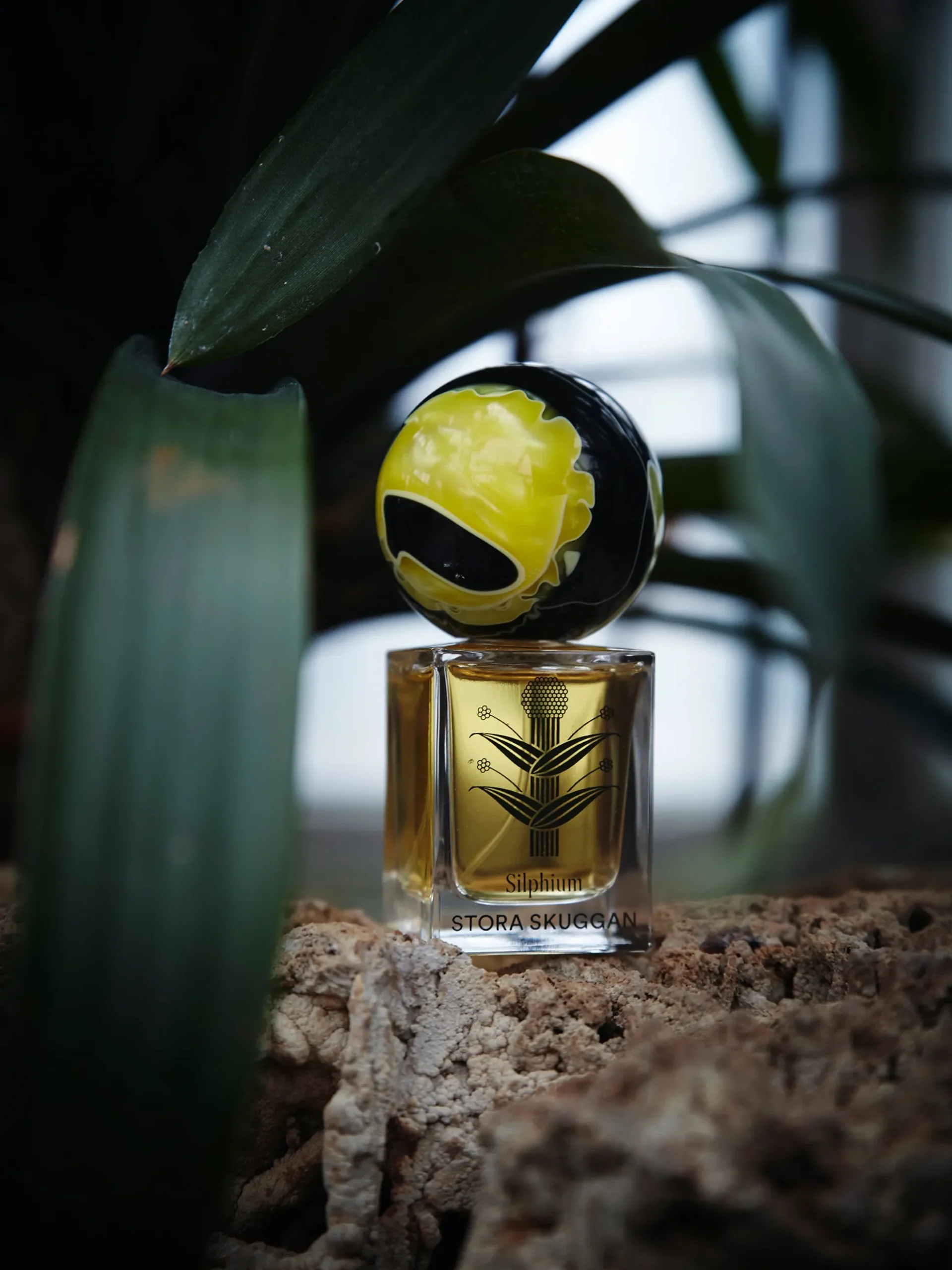 Silphium - EdP 30 ml
