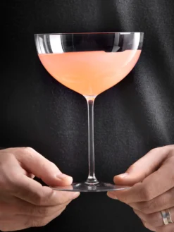 Sonoma Champagne Coupe