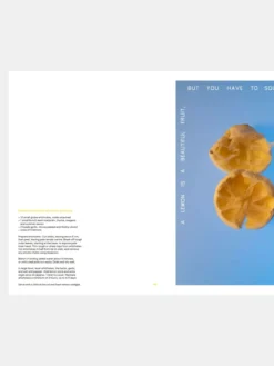 Squeeze Me - Lemons, Recipes and Art