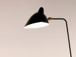 Standing Lamp with One Arm