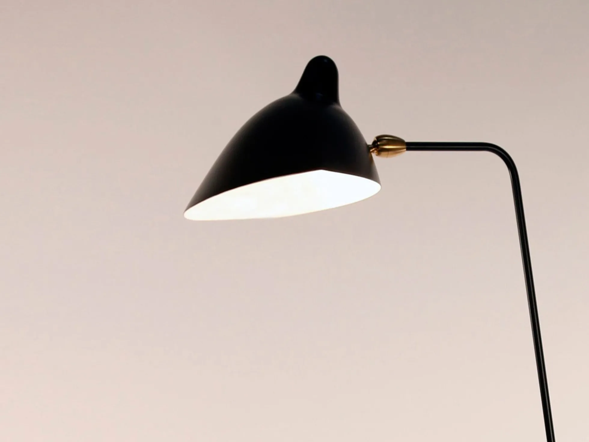 Standing Lamp with One Arm