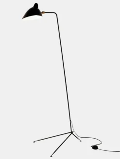 Standing Lamp with One Arm