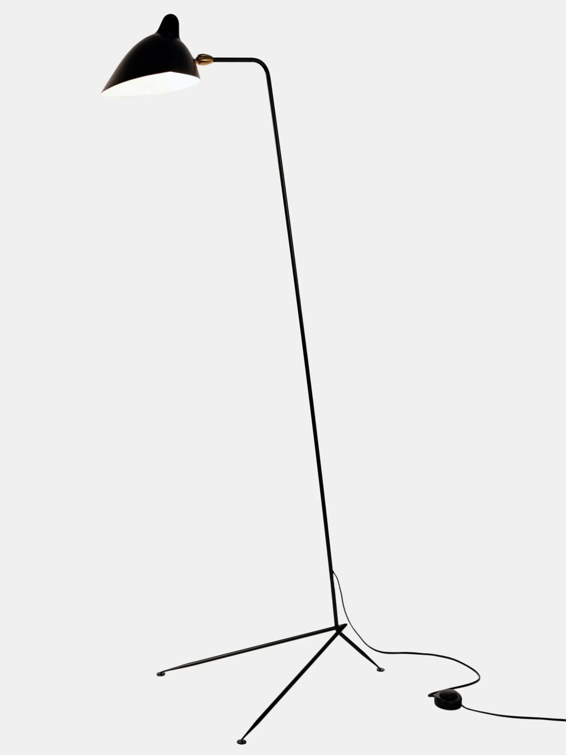 Standing Lamp with One Arm