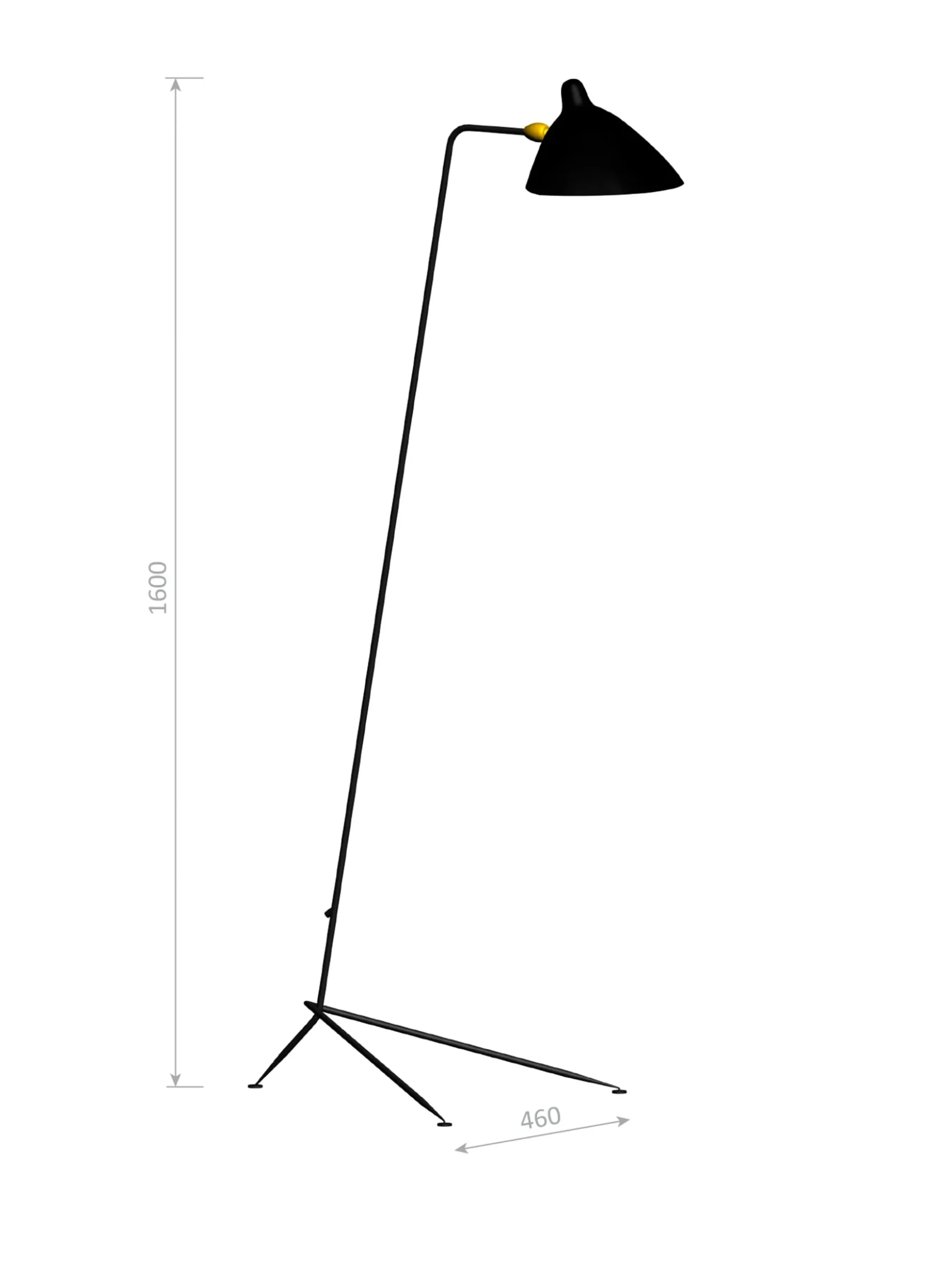 Standing Lamp with One Arm