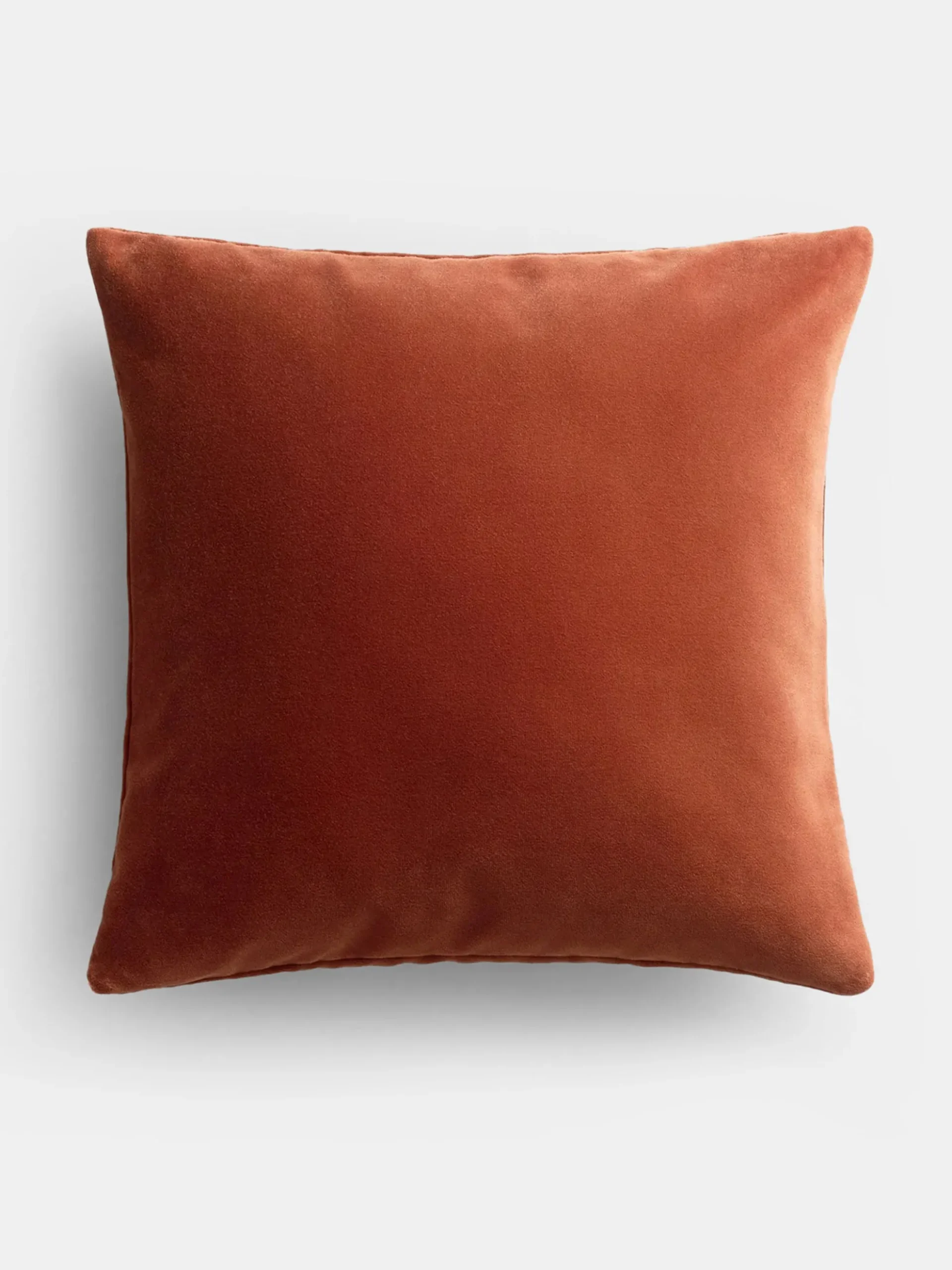 Teddy Velvet Pillow Case 50x50 cm