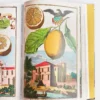 The Book of Citrus Fruits