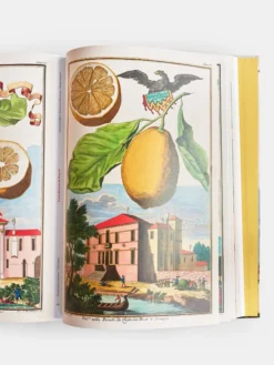 The Book of Citrus Fruits