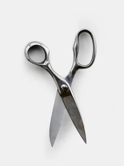 The Kitchen Scissor
