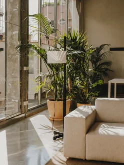 TMM Floor Lamp