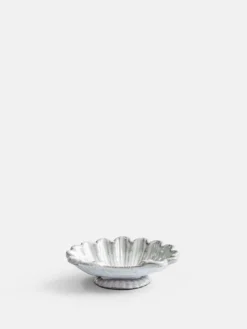Vénus Dish