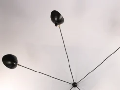 Wall Lamp with Five Fixed Arms