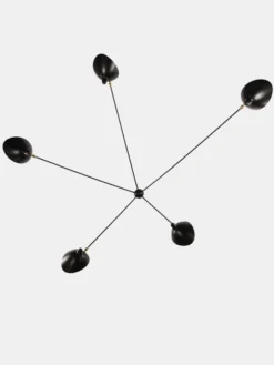 Wall Lamp with Five Fixed Arms